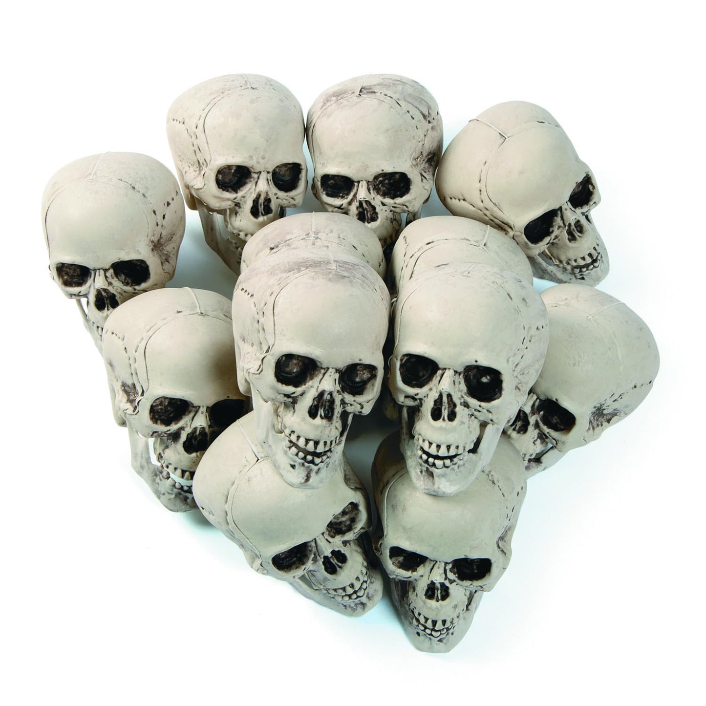 Fun Express White Plastic Realistic Skeleton Skulls 5 Inch for Halloween Party, Bar and Table Decorations, 12 Pack