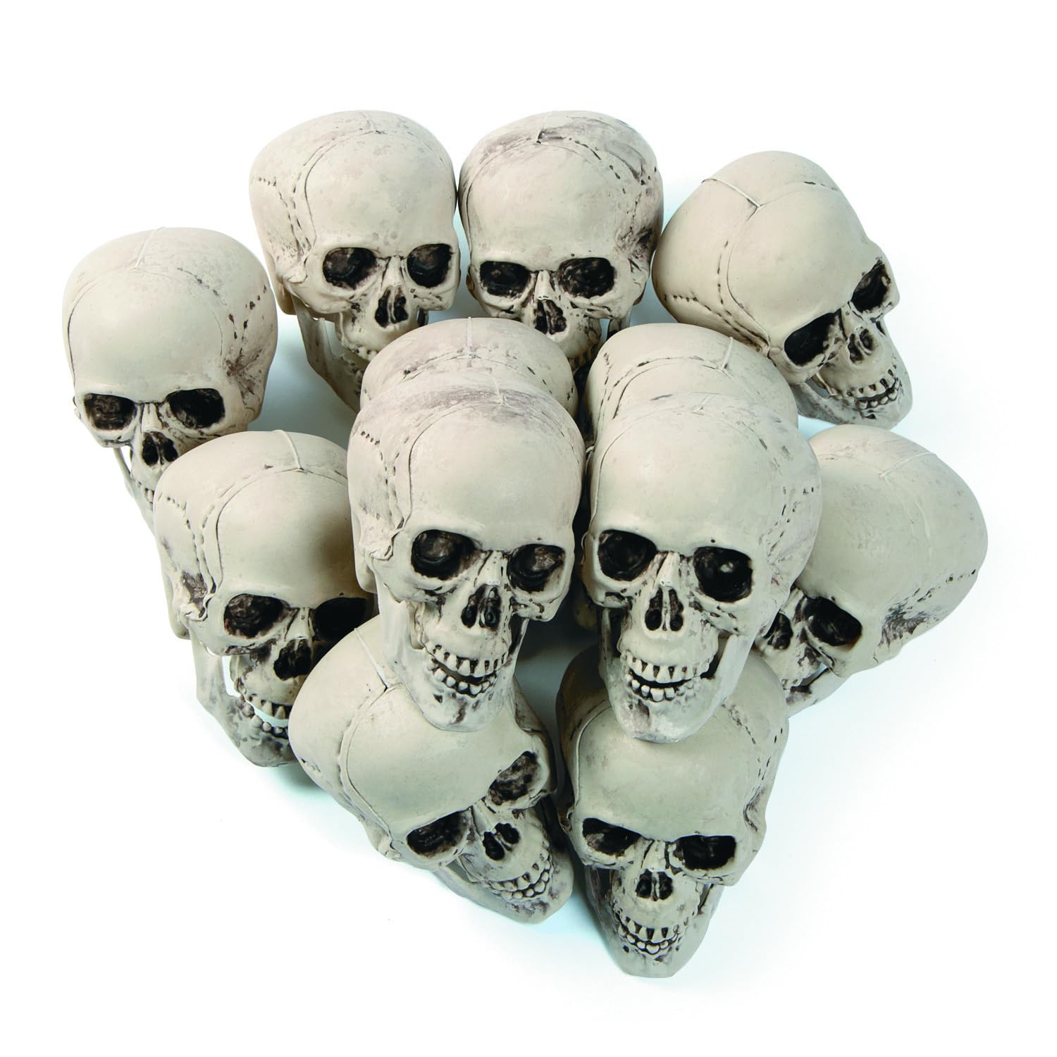 Fun Express White Plastic Realistic Skeleton Skulls 5 Inch for Halloween Party, Bar and Table Decorations, 12 Pack