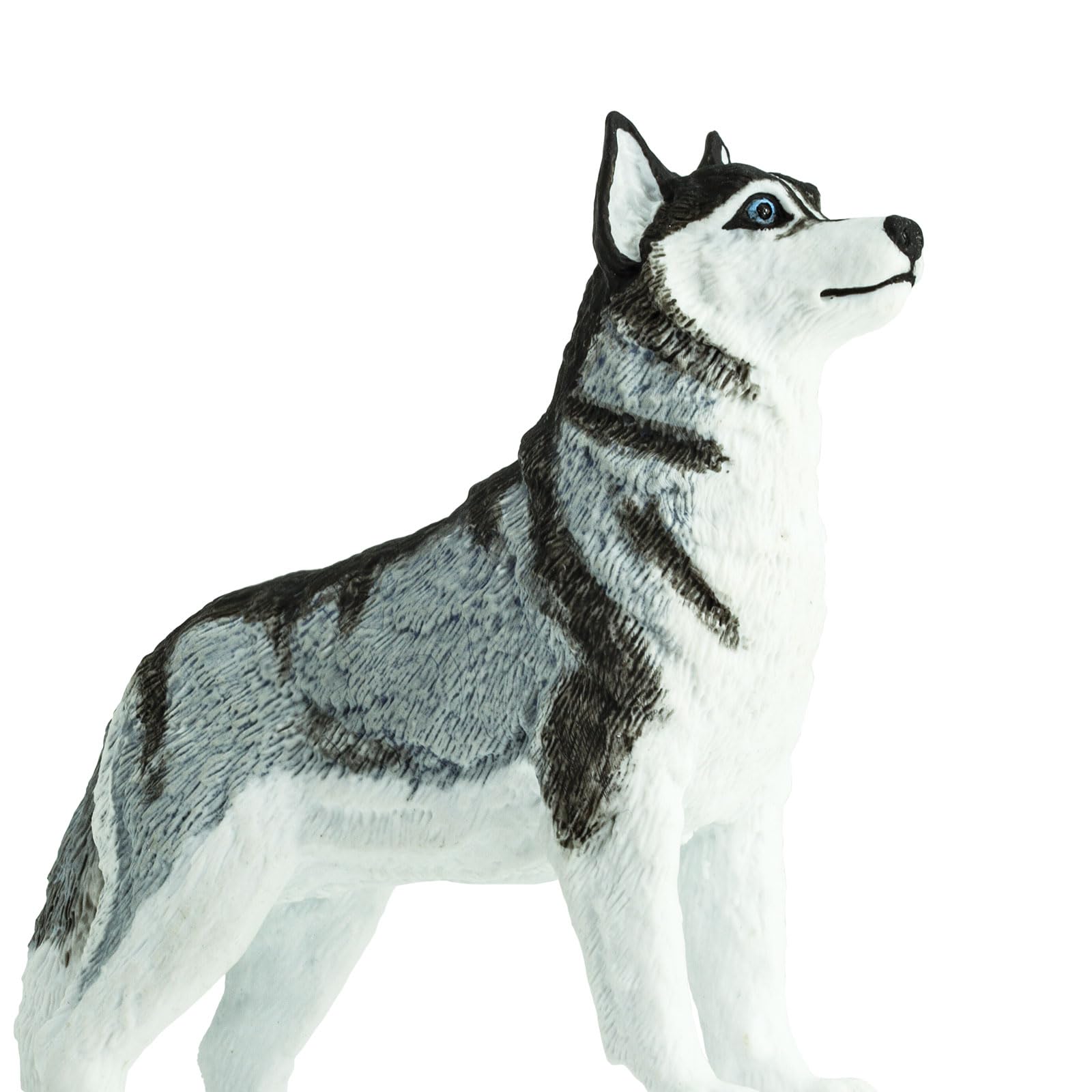 Safari Ltd. Siberian Husky Figurine - Detailed 3.25" Plastic Model Figure - Fun Educational Play Toy for Boys, Girls & Kids Ages 3+