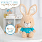 Kids Preferred Beatrix Potter Peter Rabbit Cuteeze Bunny Stuffed Animal Soft Plush Toy for Baby and Toddler Boys and Girls - 12 inch