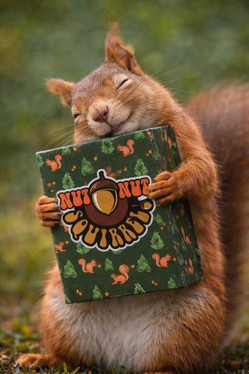 nut nut Squirrel! - A Quick, Nutty Card Game for Kids & Families. Guard Your Nuts from Those Sketchy Squirrels in a Game Filled with Strategy