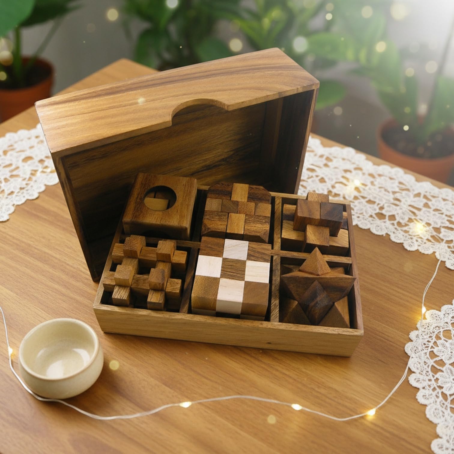 6 Wooden Puzzle Gift Set in A Wood Box - 3D Unique IQ Puzzles