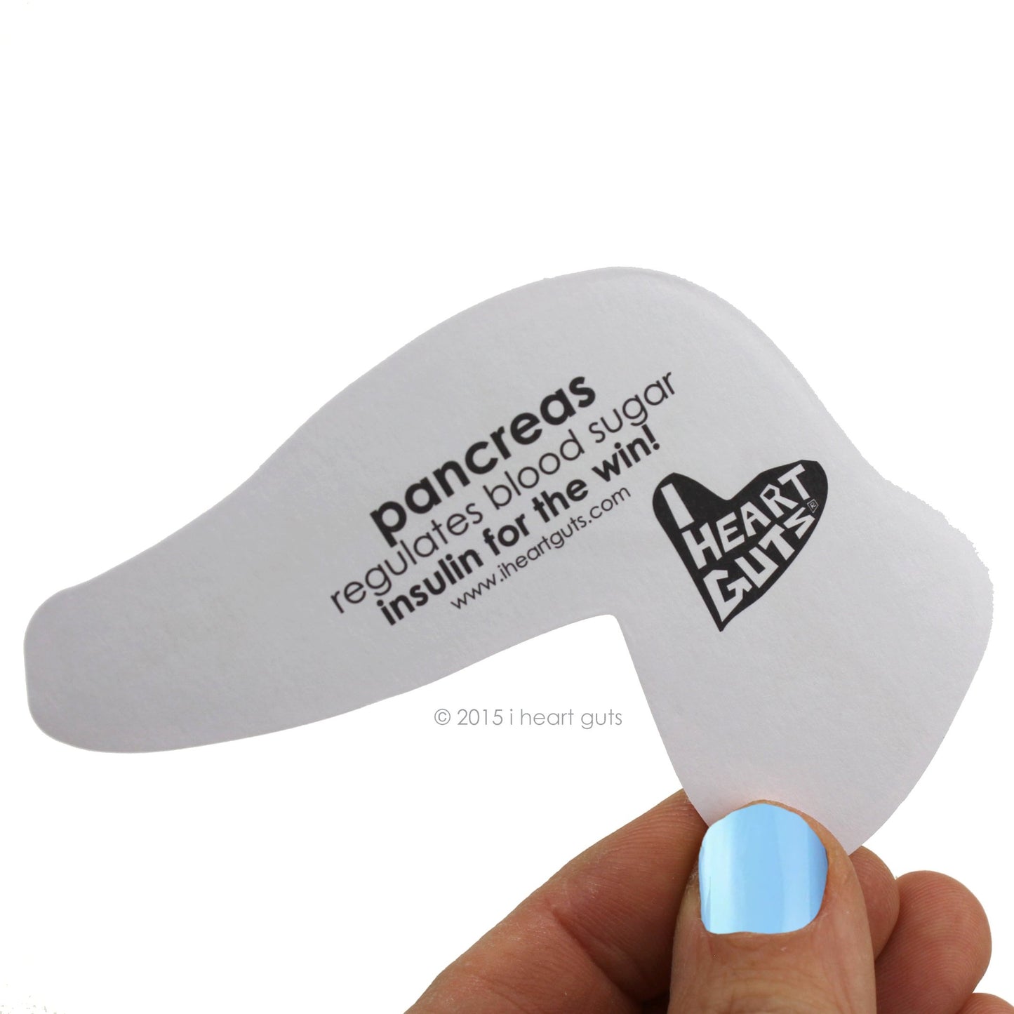 I Heart Guts Pack of Pancreas Stickers - 15 Pancreas Stickers - Cute and Educational Vinyl Stickers for Diabetics, Endocrinology Gifts, or Sweet