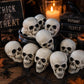 Fun Express White Plastic Realistic Skeleton Skulls 5 Inch for Halloween Party, Bar and Table Decorations, 12 Pack