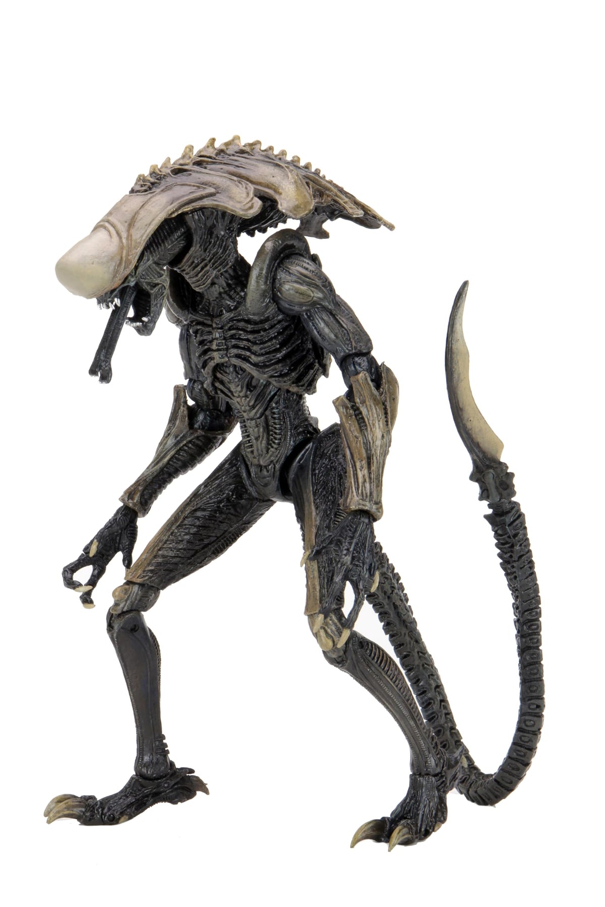 NECA Collectible Alien Vs Predator Game Movie Ultimate 9" Action Figure - Chrysalis Alien