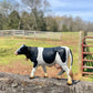 Safari Ltd. Holstein Cow Figurine - Detailed 5" Plastic Model Figure - Fun Educational Play Toy for Boys, Girls & Kids Ages 3+