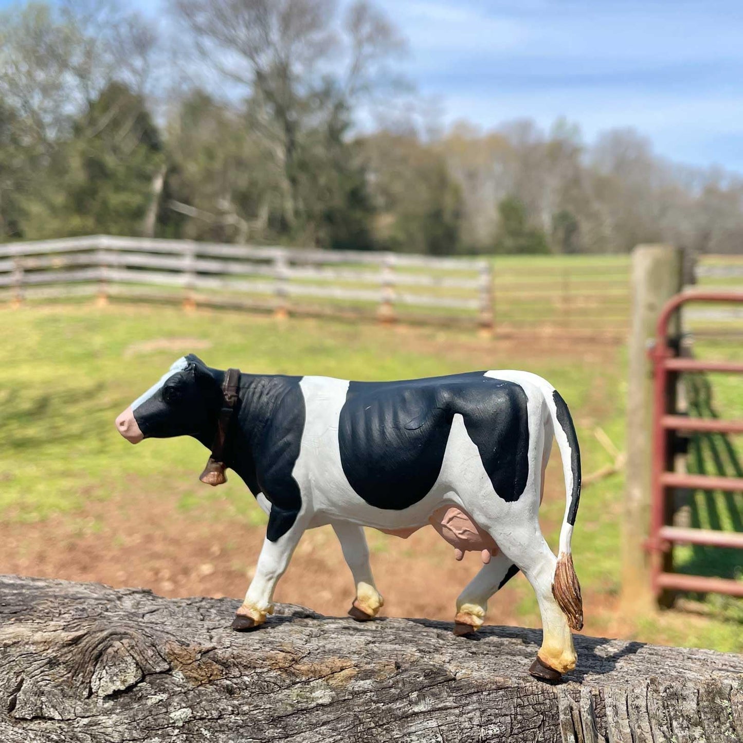 Safari Ltd. Holstein Cow Figurine - Detailed 5" Plastic Model Figure - Fun Educational Play Toy for Boys, Girls & Kids Ages 3+