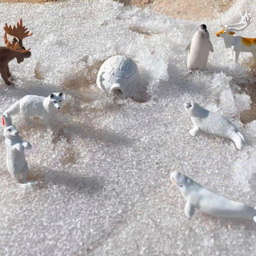 Safari Ltd Arctic TOOB With 10 Fun Figurines, Including A Harp Seal, Husky, Caribou, Arctic Rabbit, Killer Whale, Walrus, Arctic Fox, Beluga Whale