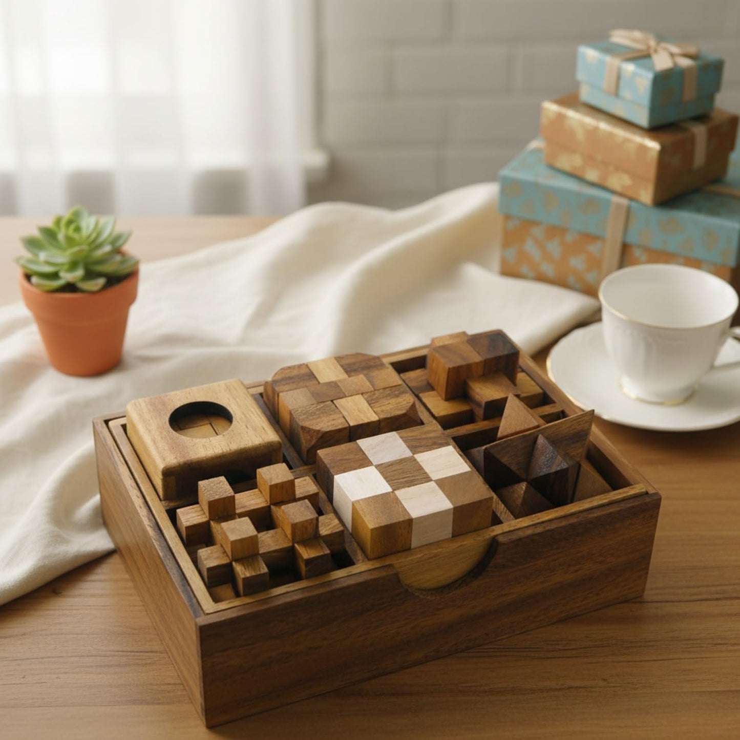 6 Wooden Puzzle Gift Set in A Wood Box - 3D Unique IQ Puzzles