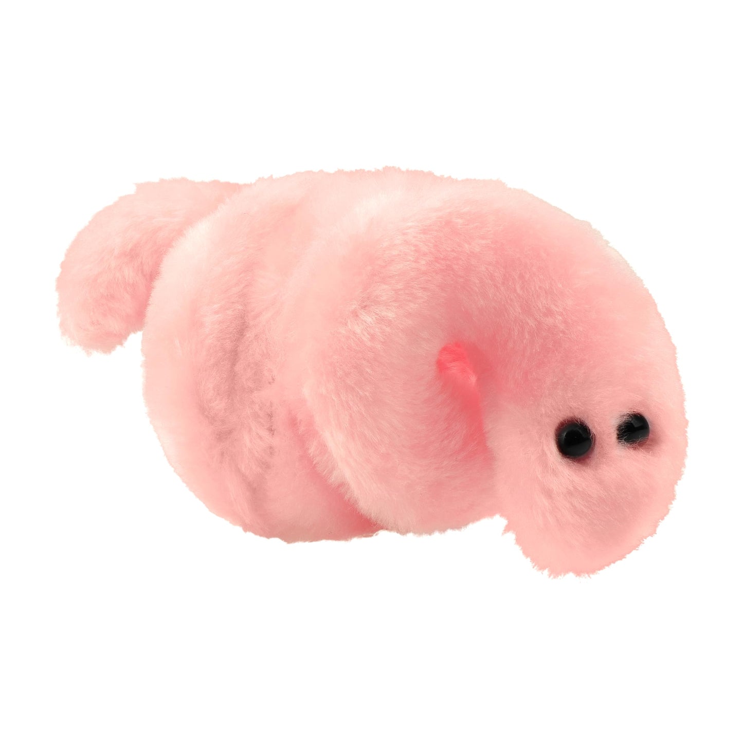 GIANT MICROBES Pox Plush, STIs, STDs, Medical Gifts, OBGYN Gifts for Doctors, Infection Prevention Gift, Infection Control Nurse, Medical Lab
