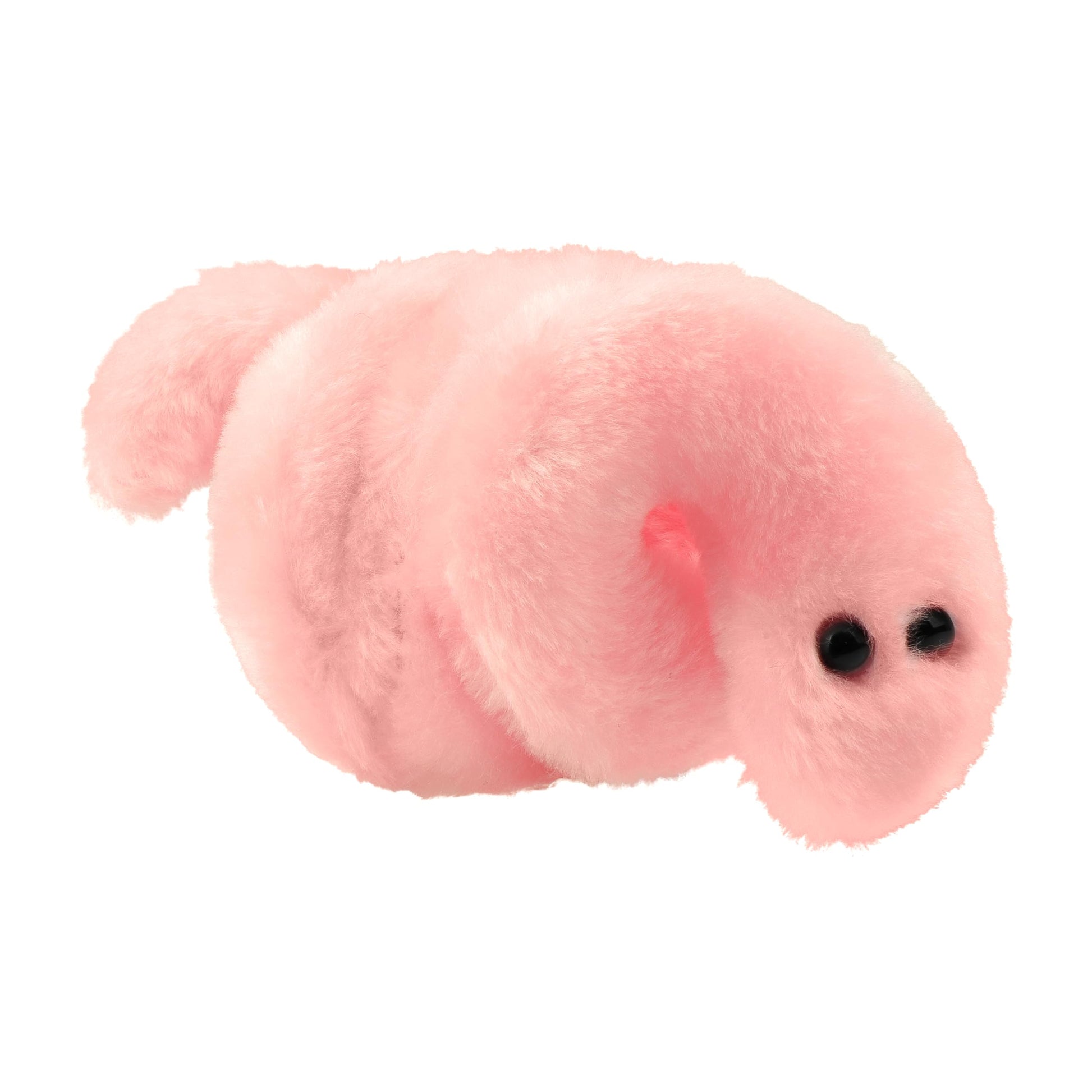 GIANT MICROBES Pox Plush, STIs, STDs, Medical Gifts, OBGYN Gifts for Doctors, Infection Prevention Gift, Infection Control Nurse, Medical Lab