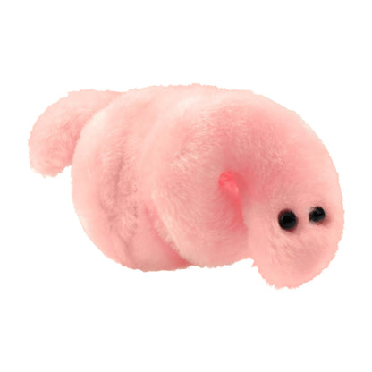 GIANT MICROBES Pox Plush, STIs, STDs, Medical Gifts, OBGYN Gifts for Doctors, Infection Prevention Gift, Infection Control Nurse, Medical Lab