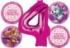 Skye Everest 4th Birthday Party Supplies Girl Paw Pups on Patrol Balloons