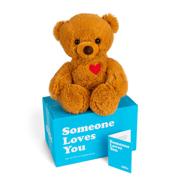 SendAFriend Toby the Teddy Bear Care Package