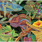 Bits and Pieces 300 Piece Puzzles for Adults - Lizards Collage - 300 Large Pieces 18" x 24" Jigsaw Puzzles, Iguana, Chameleon, Bearded Dragon, No 2
