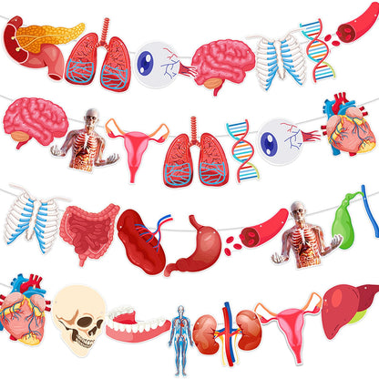 4 Strings 28 Pcs Anatomy Themed Hanging Banner, Human Body Parts Educational Cutouts Garland for Classroom Decorations, Science Party Supplies, School