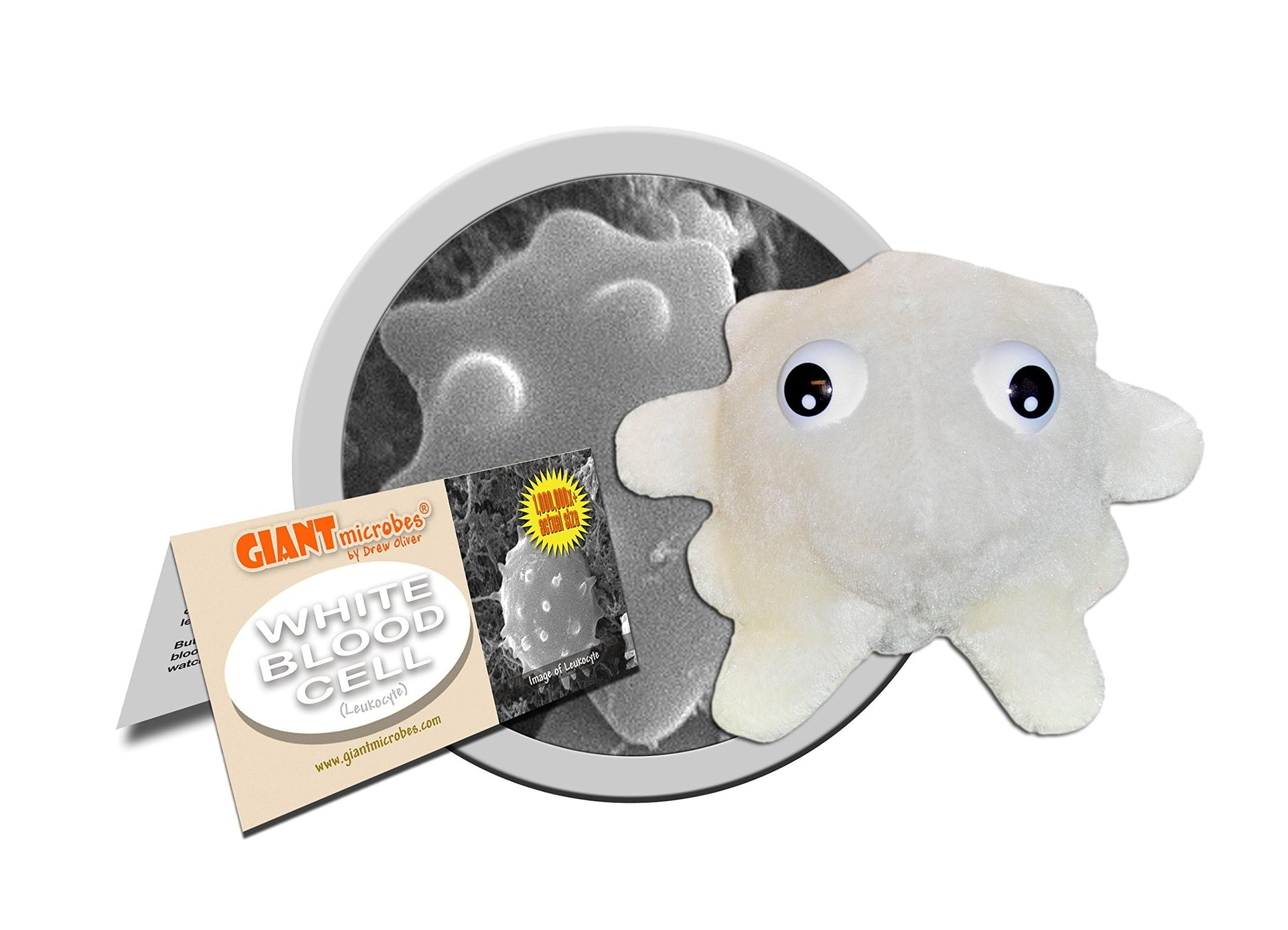GIANT MICROBES White Blood Cell Plush, Lab Tech, Hematology Gifts, Leukemia Gift, Phlebotomy Essentials, Leukemia Awareness, Get Well Gifts, Sick Care