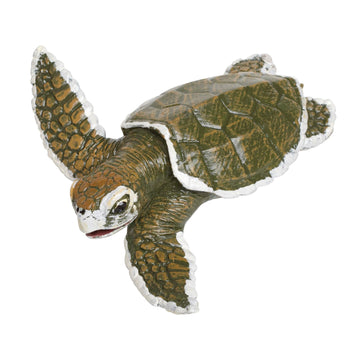 Safari Ltd. Kemp's Ridley Sea Turtle Baby Figurine - Lifelike 5" Model Figure - Educational Toy for Boys, Girls, and Kids Ages 18M+