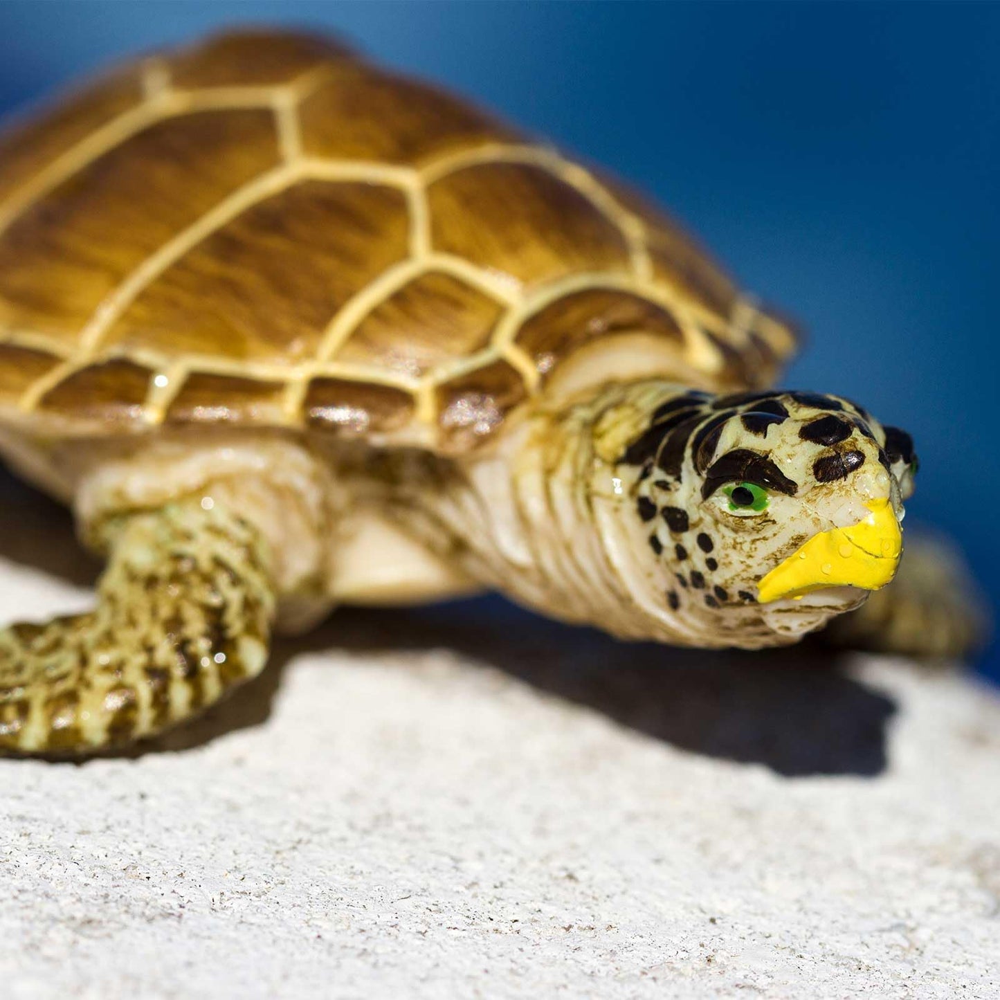 Safari Ltd. Loggerhead Turtle Figurine - Hand-Painted, Lifelike 3.75" Model Figure - Educational Toy for Boys, Girls & Kids Ages 3+