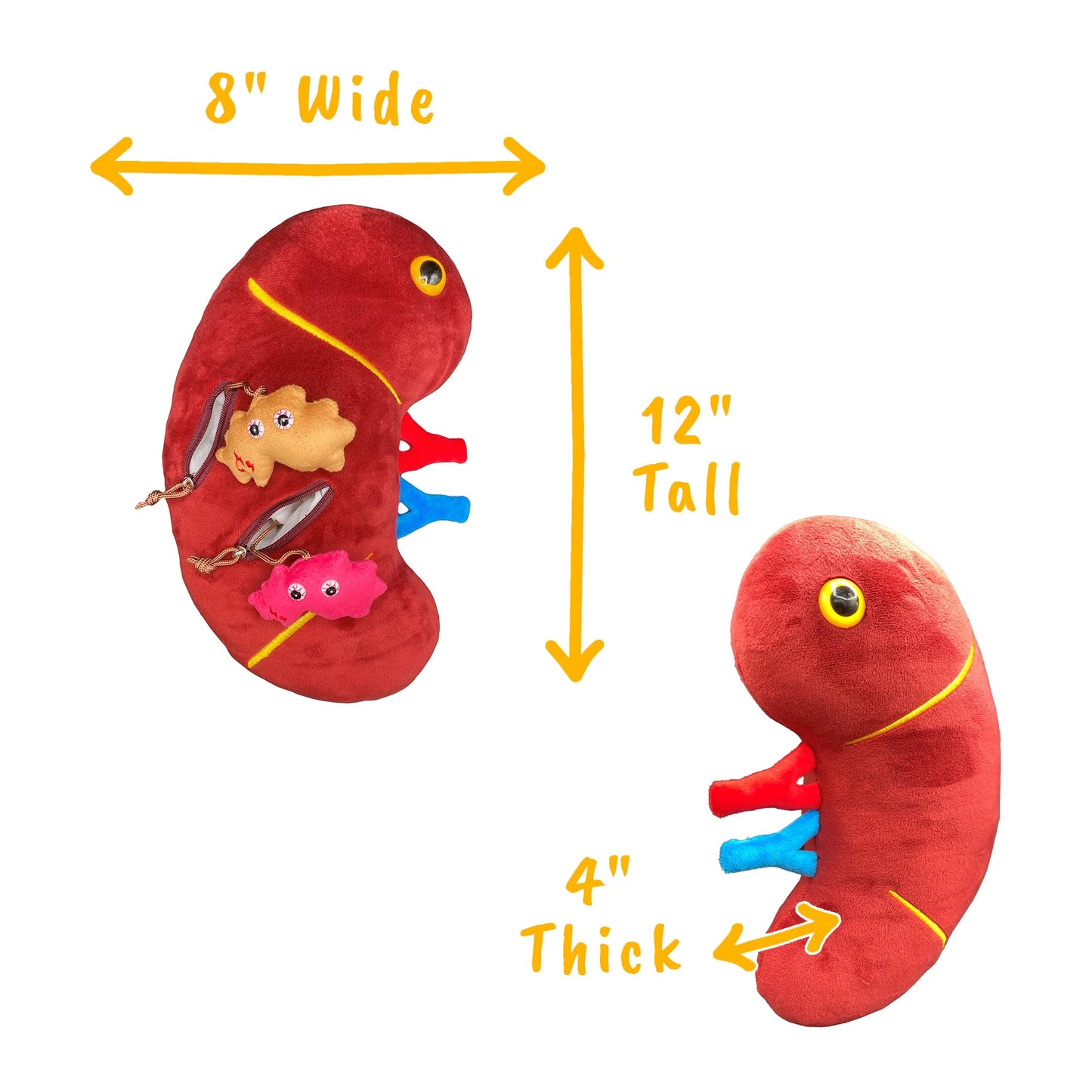 GIANTmicrobes Deluxe 12" Kidney Plush with Kidney Stones, Kidney Stuffed Animal, Kidney Transplant Gifts, Kidney Donor Gifts, Kidney Pillow, Urology