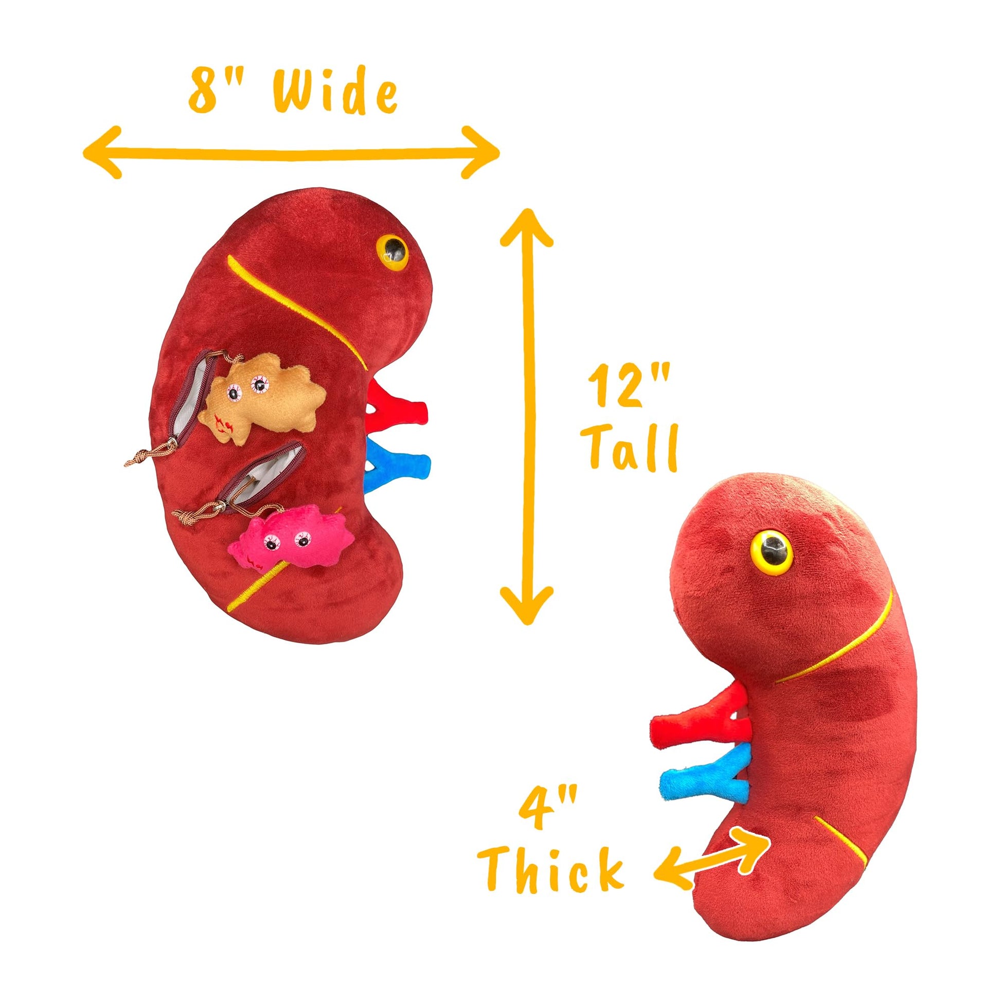 GIANTmicrobes Deluxe 12" Kidney Plush with Kidney Stones, Kidney Stuffed Animal, Kidney Transplant Gifts, Kidney Donor Gifts, Kidney Pillow, Urology