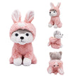 BABOLI Cuddly Husky Stuffed Animals Soft Toys with Adorable Bunny-Style Clothes Super Cute Husky Dog Plush Animal for Easter Basket or Thoughtful
