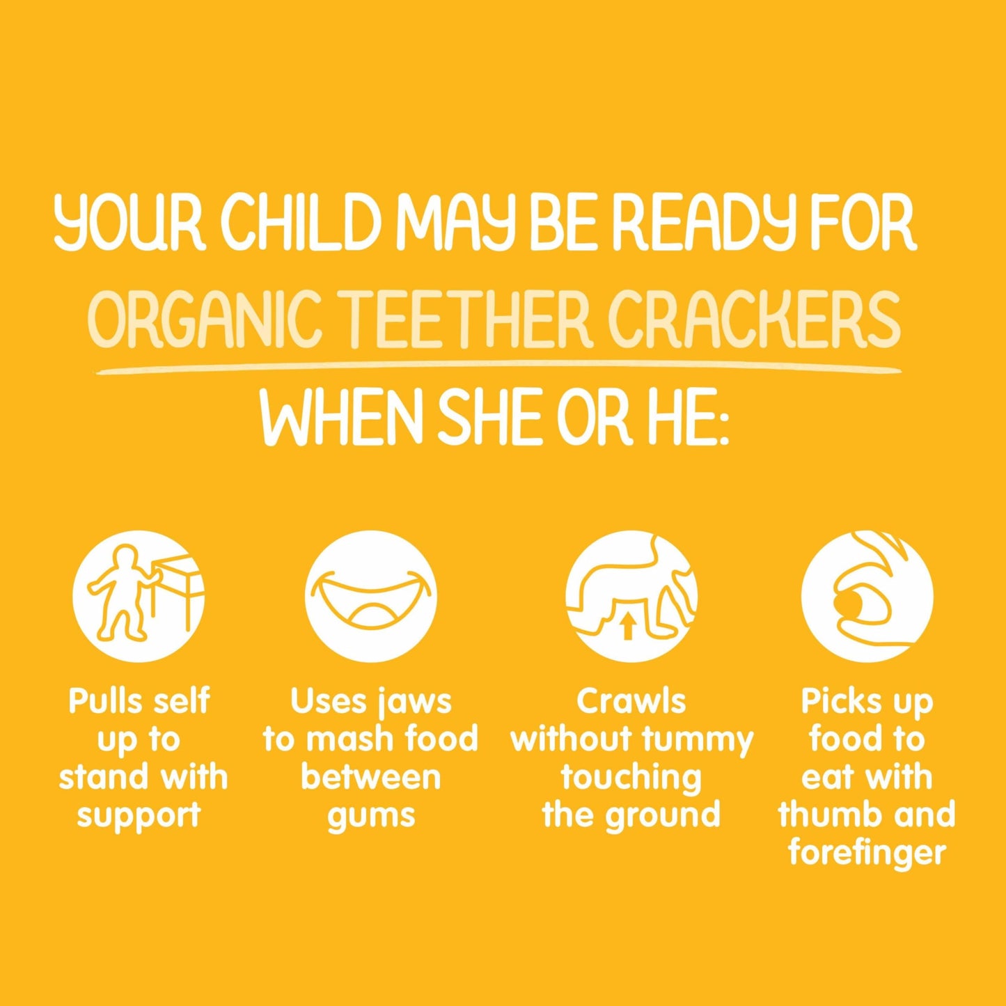 Happy Baby Organics Organic Teether Crackers Gluten Free Mango & Pumpkin with Amaranth 12-0.14 oz Packs