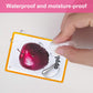 Zwttey Fruits,Vegetables 2 Sets of English Flash Cards Kids Pocket Card Learning Baby Toys for Children Pre-Kindergarten