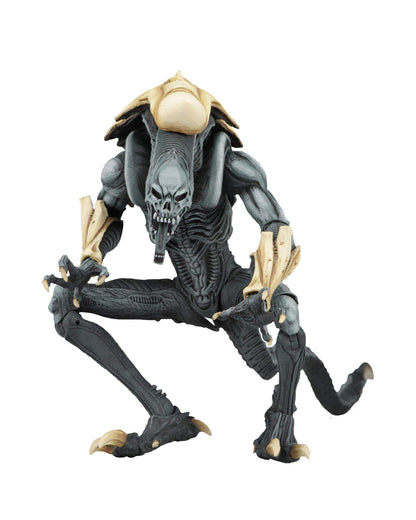 NECA - Aliens vs Predator (Arcade Appearance) - 7" Scale Action Figures - Chrysalis
