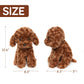 WEIGEDU Adorable Labradoodle Plush Toy Fluffy Red Brown Poodle Stuffed Animal Dog Puppy, 12.6" - Perfect for Kids, Babies, Birthday, Nursery