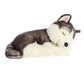 Aurora® Adorable Miyoni® Tots Sleepy Husky Pup Stuffed Animal - Lifelike Details Make a Cherished Companion - Perfect for Decorating Bedrooms or