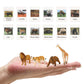 Montessori Safari Animal Matching Game, 12PCS Realistic Zoo Animal Figurines with Flash Cards, Preschool Science Educational Learning Toys