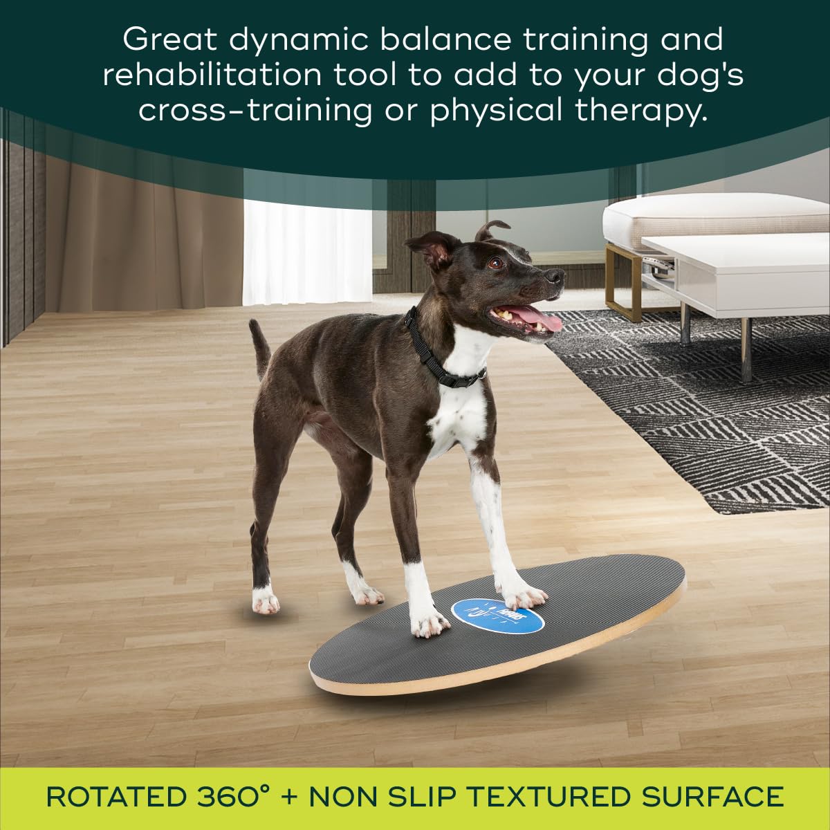 FitPaws® 20" Wobble Board, Dog Balance Training, Rehab + Exercise Equipment