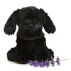warmies Microwavable Stuffed Animal, Black Labrador - Heatable for Soothing Warmth - Chillable Lab Dog Plush for Cooling Relief - Lavender-Scented