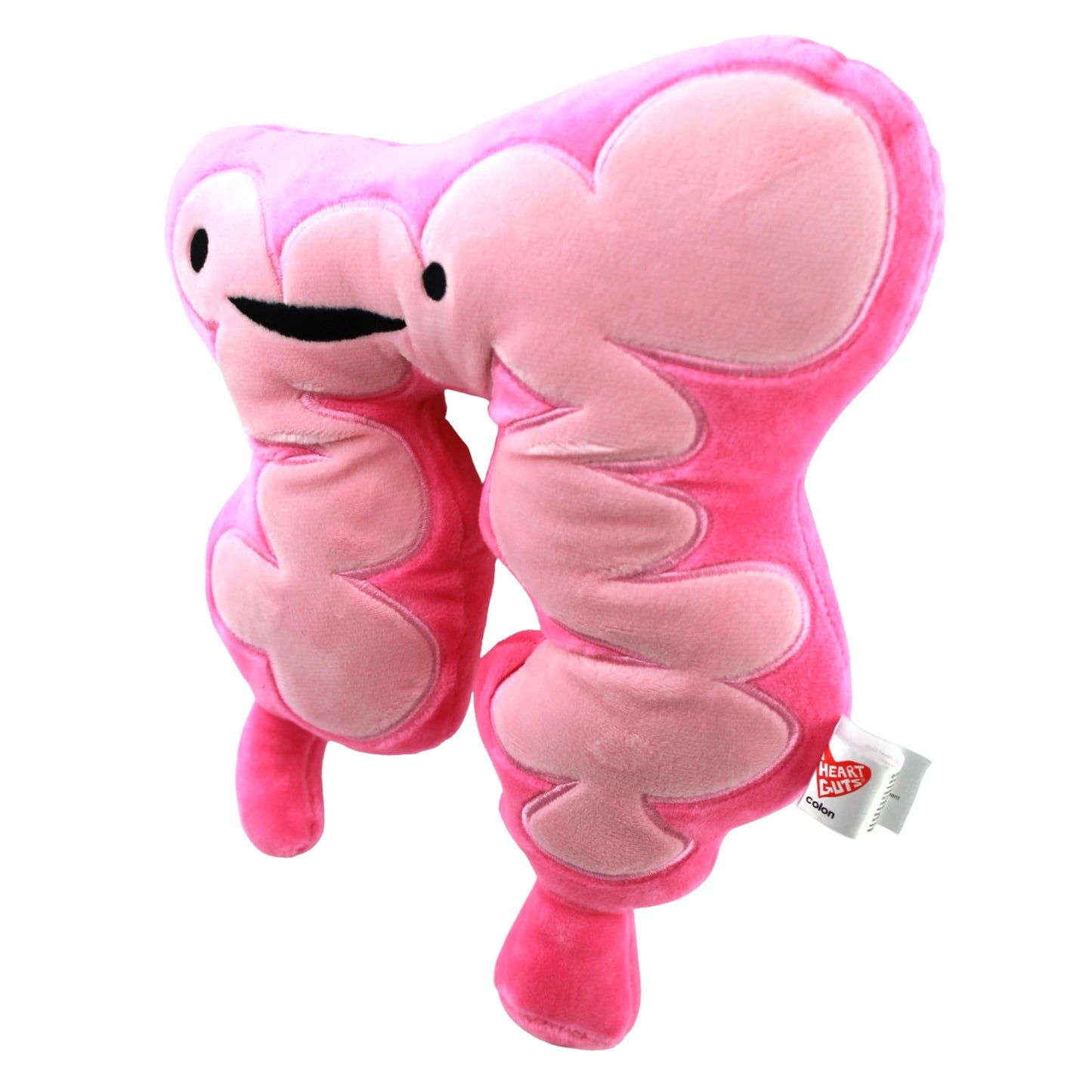 I Heart Guts Colon Plush - 11" Cute Digestive System Plushie for Cancer Awareness, Surgery Recovery & Get Well Recovery Gift, Soft Anatomy Plushie