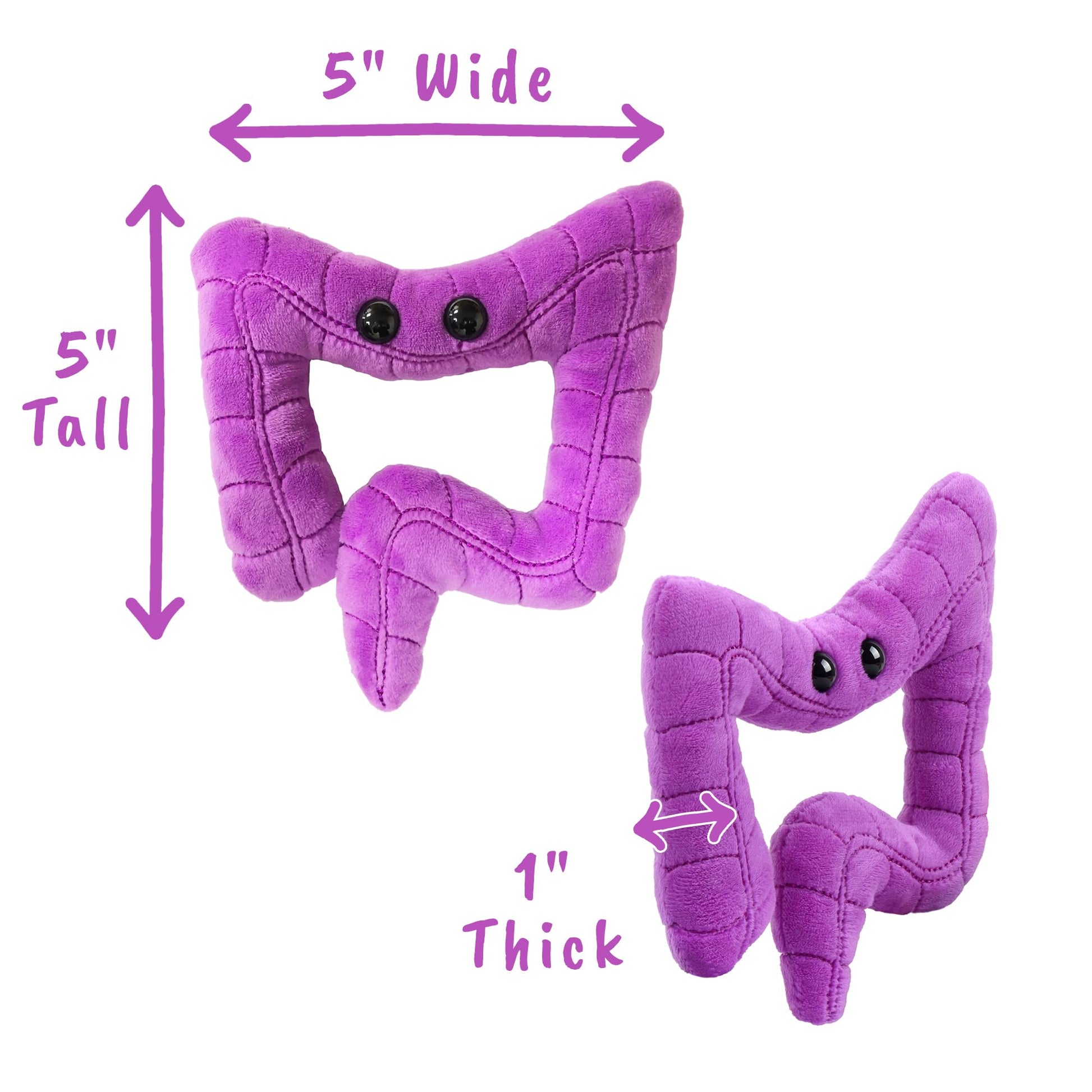 GIANT MICROBES Colon Plush, Funny Colonoscopy Gifts, Colon Cancer Awareness Items, Gastroenterology Gifts, Surgery Recovery Items, Colonoscopy Gift