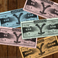 Monopoly: Yellowstone | Buy, Sell, Trade Spaces Featuring Locations from The Paramount Network Show | Collectible Classic Monopoly Game |