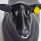 Little Buster Toys Toy Angus Show Bull w/Nose Ring Black N/A
