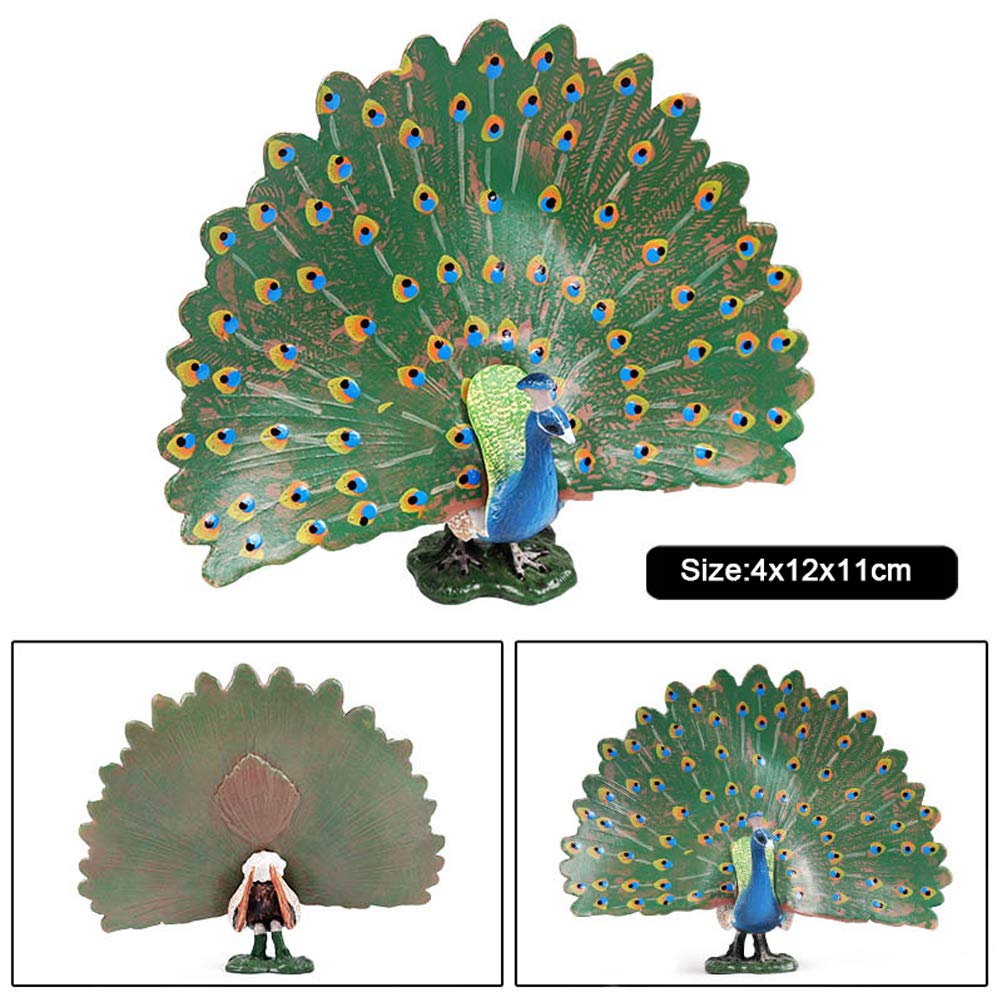 FLORMOON Bird Toys pcs Realistic Peacock Plastic Early Educational Toys Cupcake Topper Party Gift for Kids 2+ Year Old