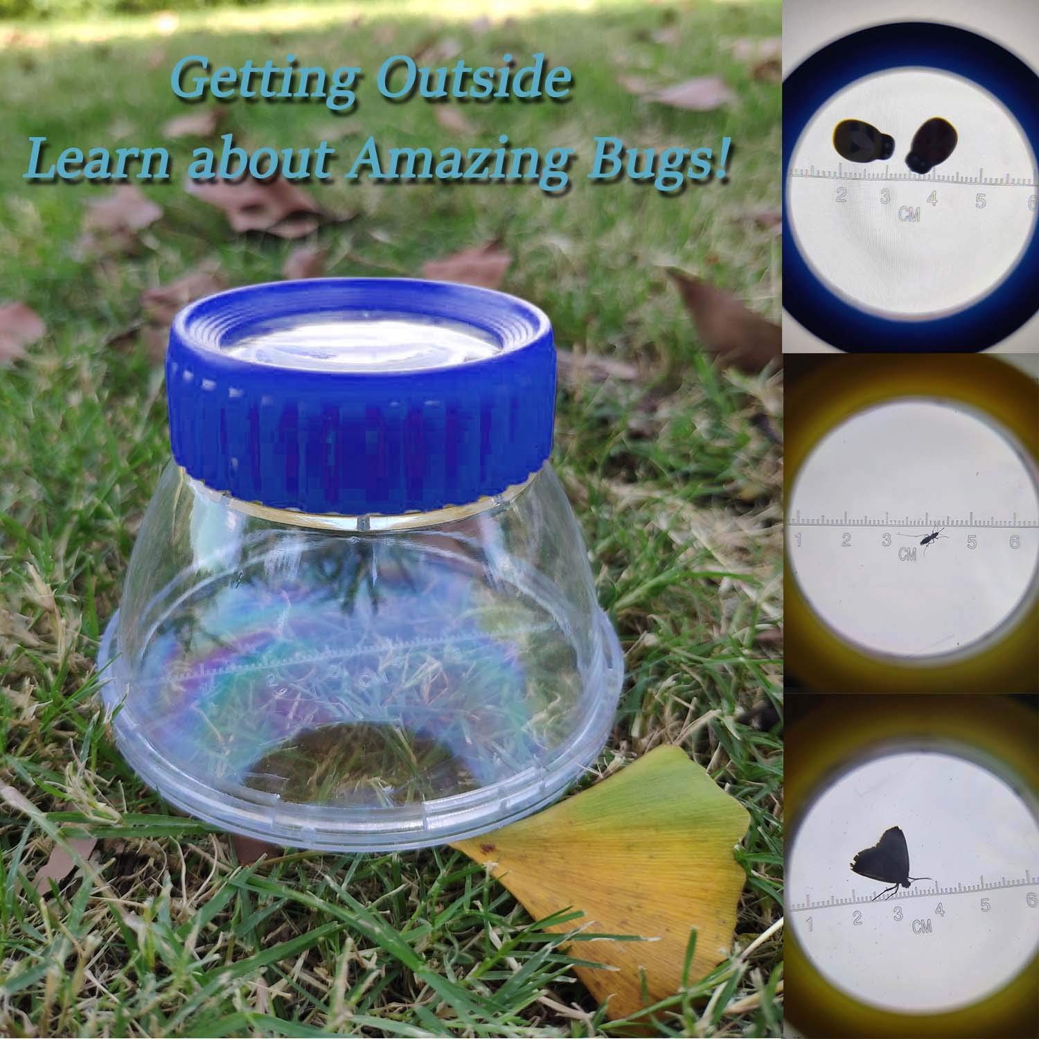 5X Magnifier Bug Viewer, Bugs Habitat Magnifying Bug Jar for Kids