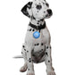 Mattel Puppy Tweets Blue