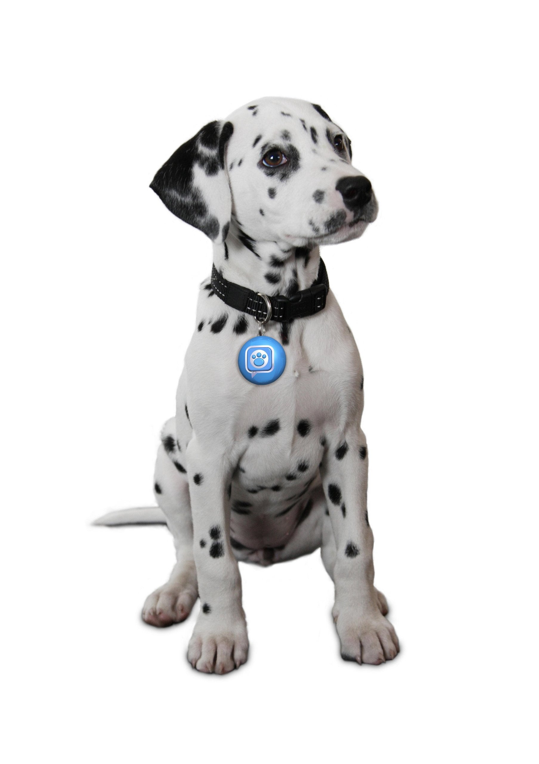Mattel Puppy Tweets Blue