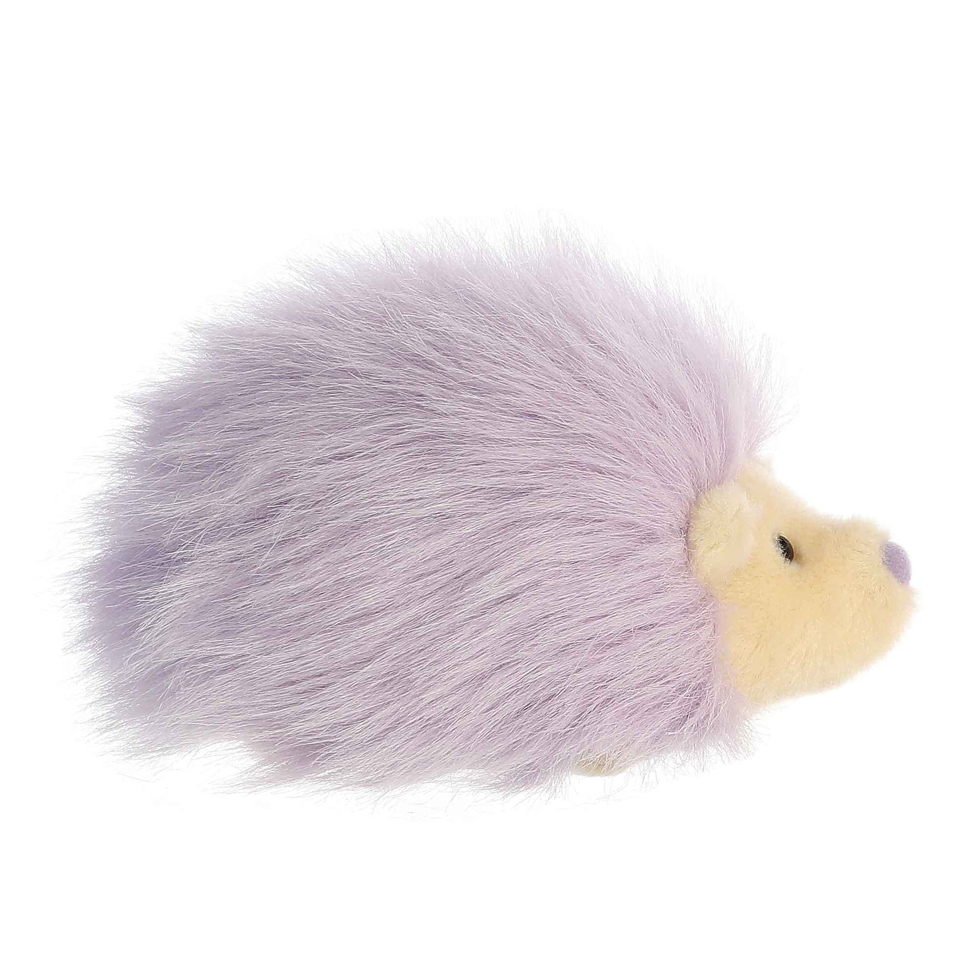 Aurora - Macaron Collection - 5" Purple Hedgie