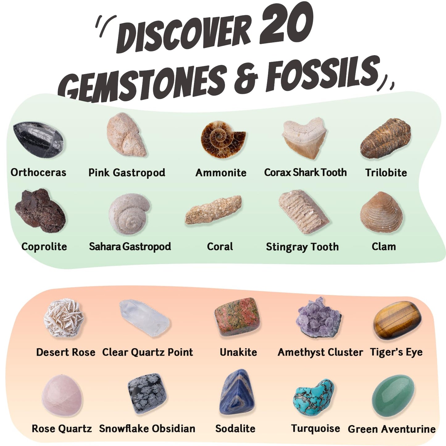 Xenvera Gemstone and Fossil Dig Kit - Excavate 10 Gems and 10 Fossils, STEM Geology Set, Educational Toy, Science Kit for Kids Ages 8+