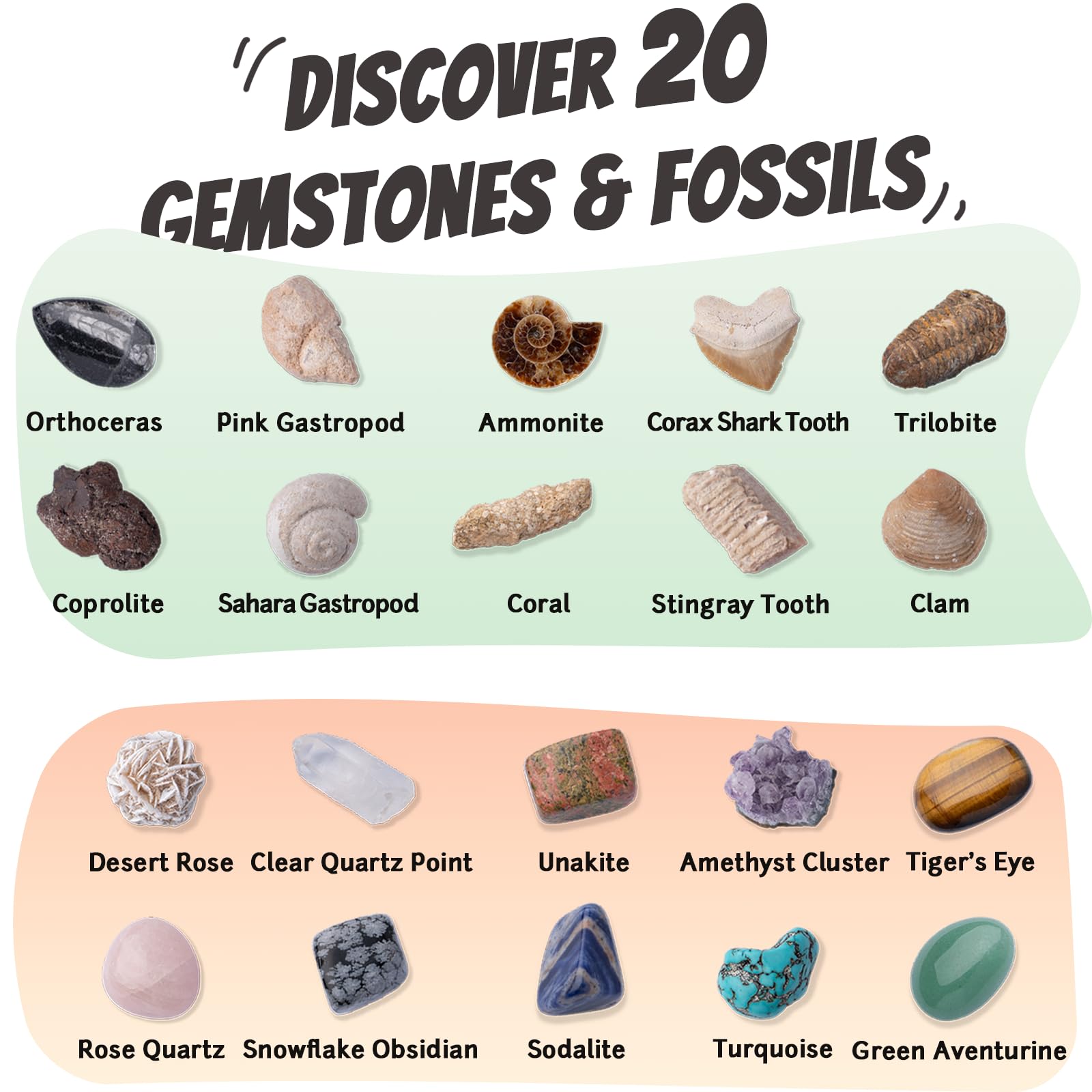 Xenvera Gemstone and Fossil Dig Kit - Excavate 10 Gems and 10 Fossils, STEM Geology Set, Educational Toy, Science Kit for Kids Ages 8+