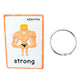 SANTSUN 46 Antonyms Preschool Picture Adjective flashcards Teaching aid Card-The Flash Hole-Punched So You Can Sort and Organize The Cards Easily