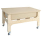 Wood Designs Multipurpose Sand & Water Sensory Center with Clear 9" D Tub & Lid, Constructed from 100% Plywood, Activity Table for Kids, Classroom