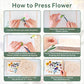 TTUGTTUG Flower Press Kit for Adults, 11" x 11" Large Wooden 10-Layer Press for DIY Floral Art, Wedding Flower Drying, Great Gift for DIY Flowers