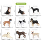 Volnau Dog Figurines Animal Toys 9PCS Mini Puppy Figures for Kids Toddlers Decorations Preschool Educational Cake Topper Set