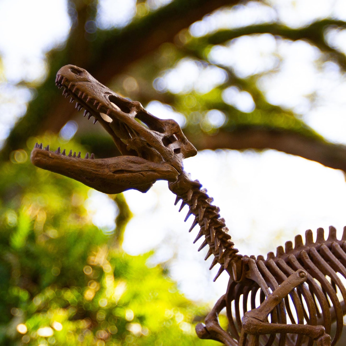 Geoworld Velociraptor Skeleton Model Kit - Scale Replica Velociraptor Skeleton - Build, Learn & Play STEM Toy for Kids Ages 6+